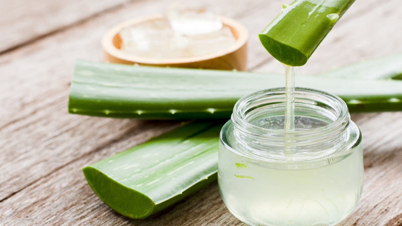 Cách bảo quản nha đam đã sơ chế 3