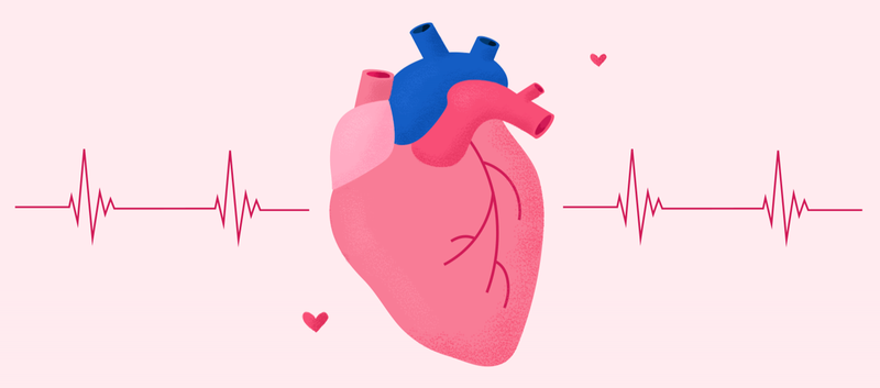 Cách ổn định nhịp tim hiệu quả: Phương pháp đơn giản bạn nên biết 1