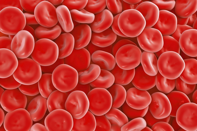 Cách phân loại nhóm máu và các nhóm máu phổ biến hiện nay 1