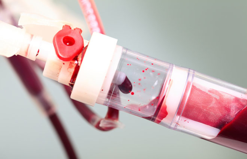 Cách phân loại nhóm máu và các nhóm máu phổ biến hiện nay 4