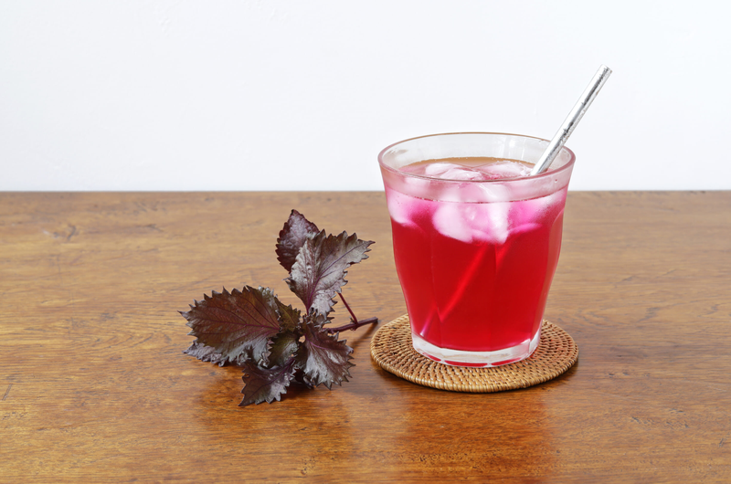 Học cách uống lá tía tô của người Nhật để chăm sóc sức khỏe 4