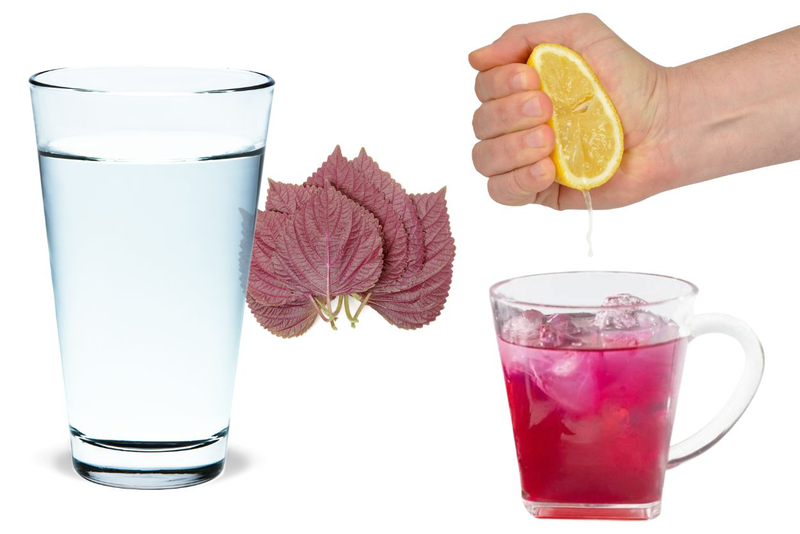Học cách uống lá tía tô của người Nhật để chăm sóc sức khỏe 3