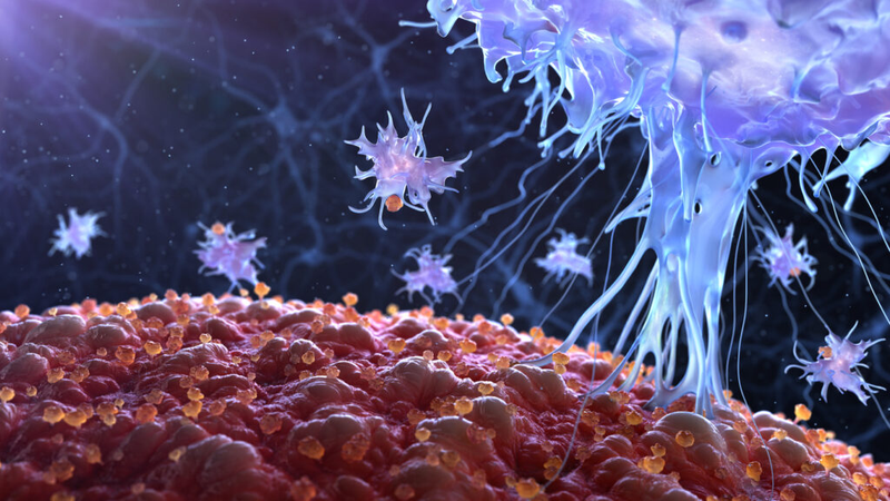 Cancer antigen là gì? Cancer antigen tăng có phải là ung thư không? 3