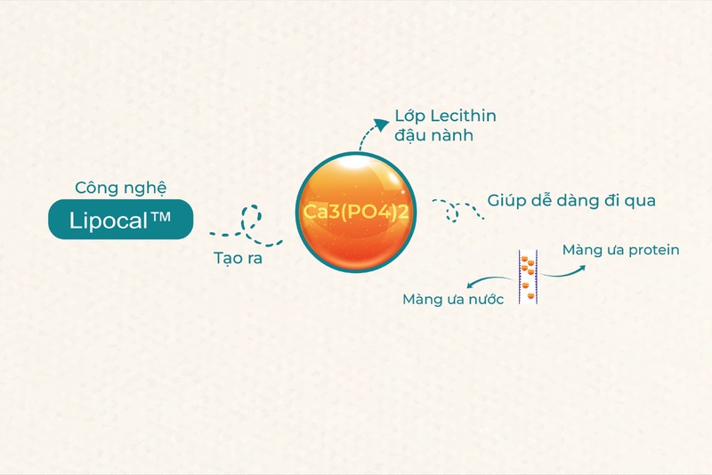 Bạn có biết canxi sinh học là gì? 1