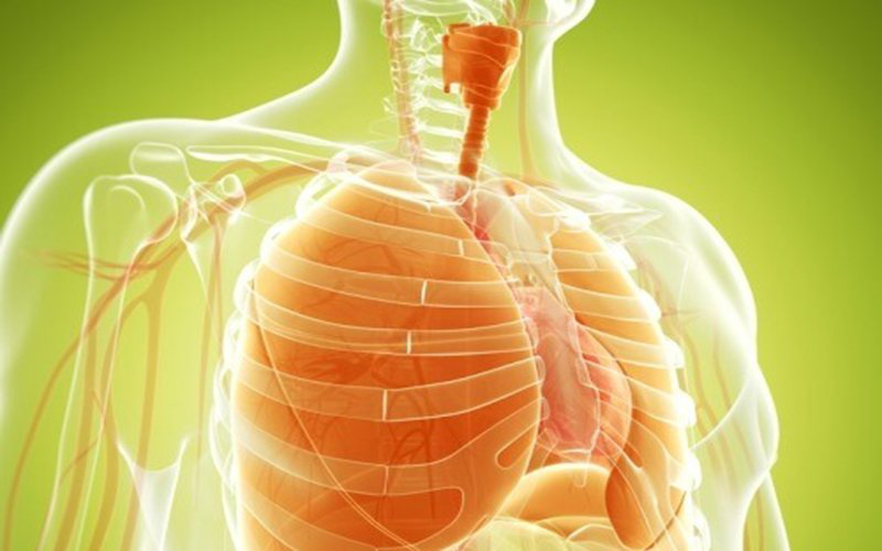 Cấu tạo, chức năng của hệ hô hấp và một số bệnh thường gặp1