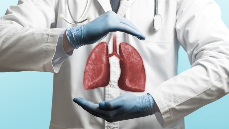 giải phẫu phổi 1