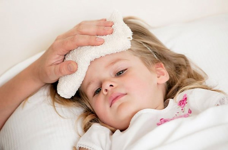 Cây đại bi: Vị thuốc quý với nhiều công dụng chữa bệnh dân gian 2