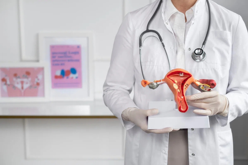 Cây nhội: Đặc điểm, công dụng và những bài thuốc hữu ích 3