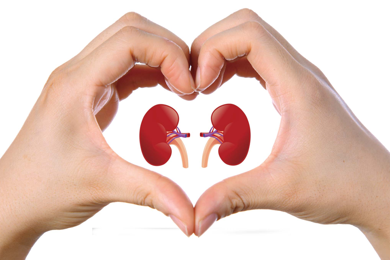 Cây sâm cau rừng: Dược liệu quý bổ thận, tăng cường sinh lực 2