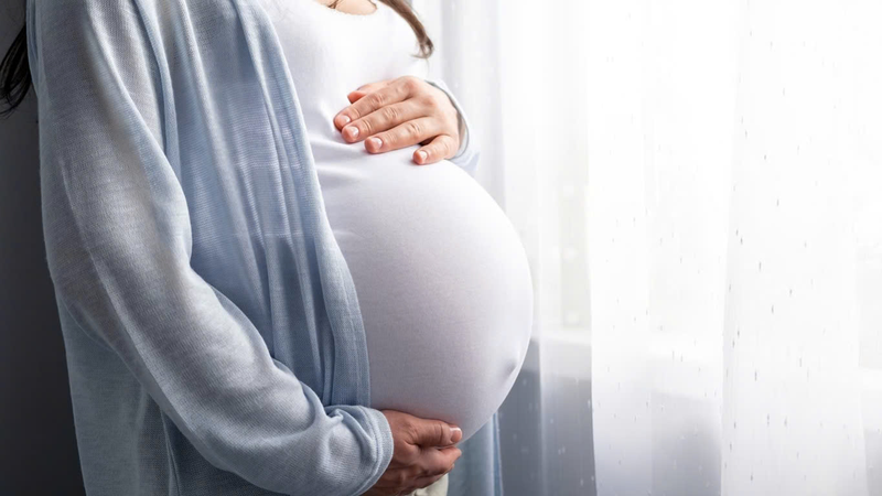 Cây xạ đen và cà gai leo: Đặc điểm, lợi ích sức khỏe và lưu ý khi sử dụng 4