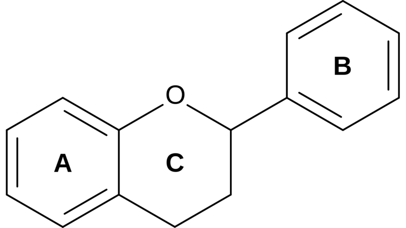 Cây Xuyến chi: Một loại thảo dược mọc hoang với tác dụng dược lý cao 2