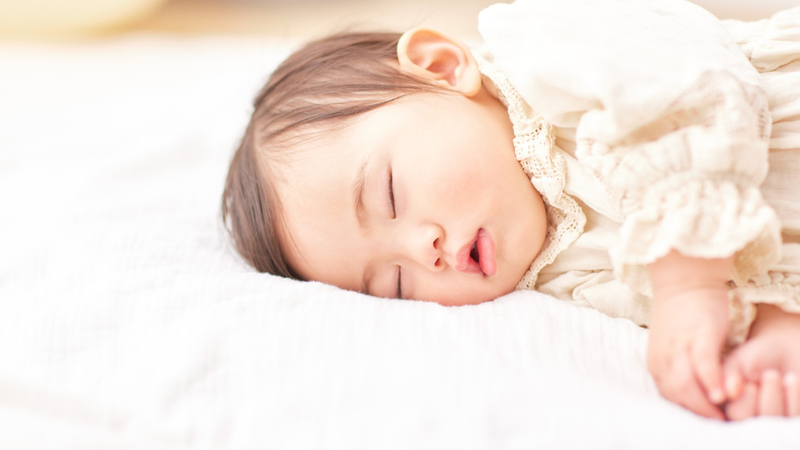 Trong hạt sen có chứa hoạt chất alcaloid có tác dụng làm dịu thần kinh