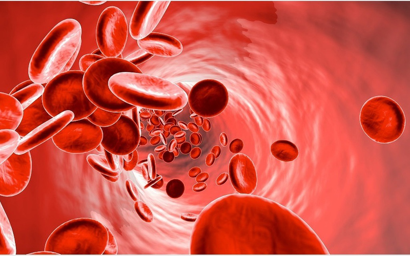 Chảy máu đường mật: Mức độ nguy hiểm, hướng chẩn đoán và điều trị 2