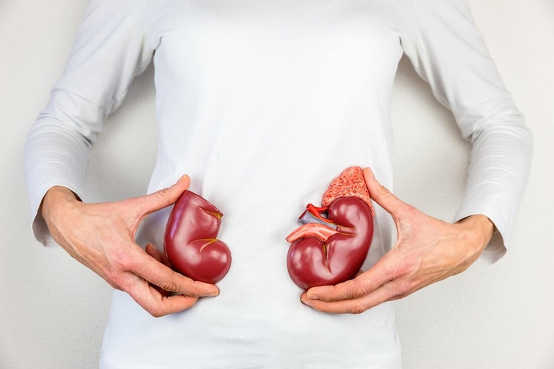 Chế độ ăn trái cây có lợi ích và rủi ro gì cho sức khỏe? - 3