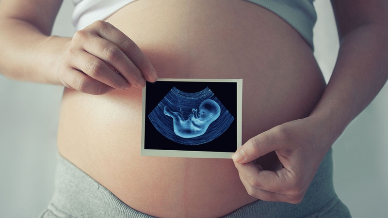 Chế độ dinh dưỡng tốt mẹ bầu và sự phát triển toàn diện của thai nhi 2