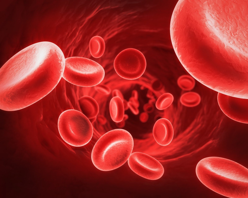 Chỉ định lọc máu cho bệnh nhân suy thận khi nào? Những điều bạn cần biết 1