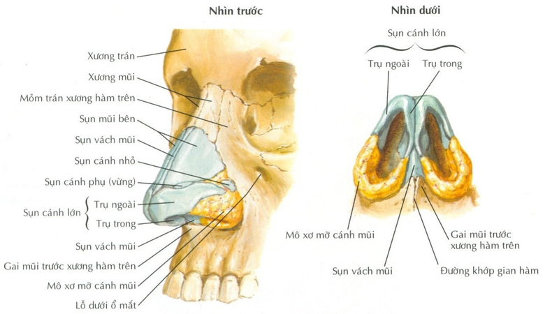 Chi phí phẫu thuật gãy xương mũi hết bao nhiêu 1