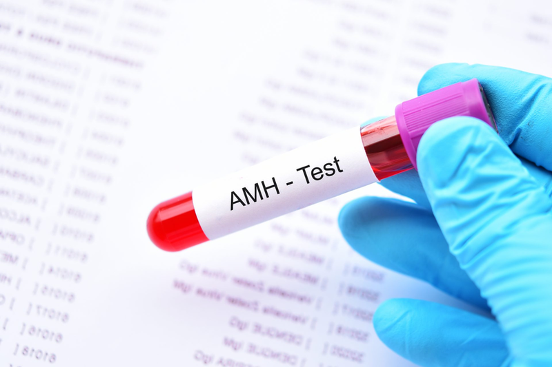 Chỉ số AMH bình thường là bao nhiêu? Ai nên xét nghiệm chỉ số AMH? 1