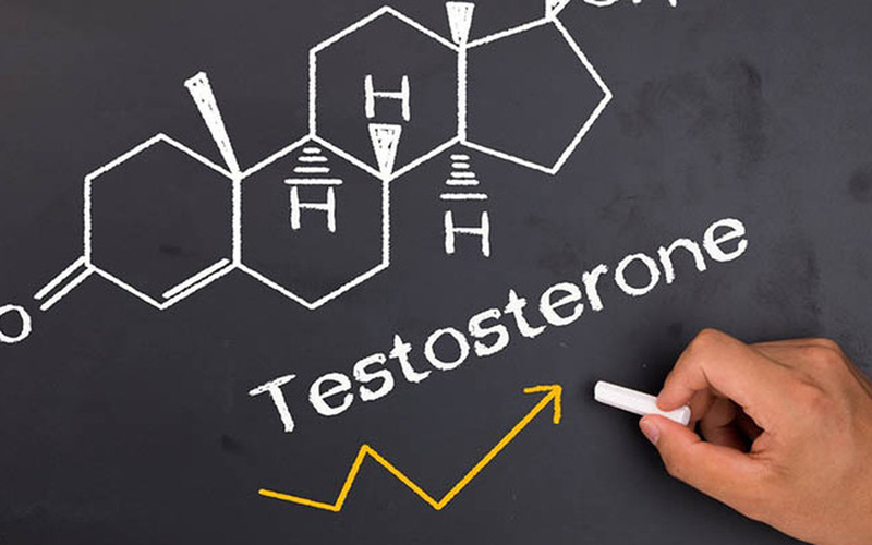 Testosterone là hormone quan trọng chủ yếu được sản xuất tại tinh hoàn