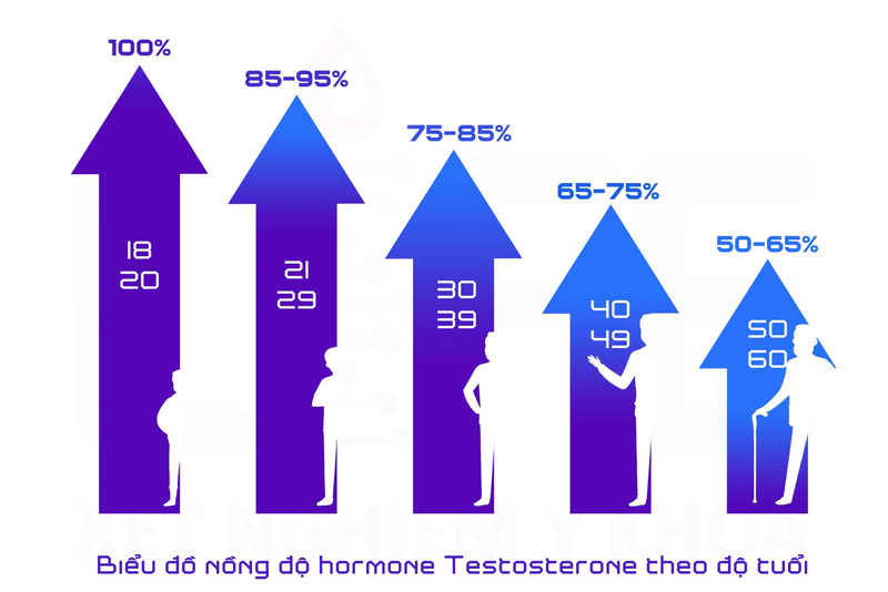Chỉ số Testosterone bao nhiêu là bình thường còn phụ thuộc vào độ tuổi