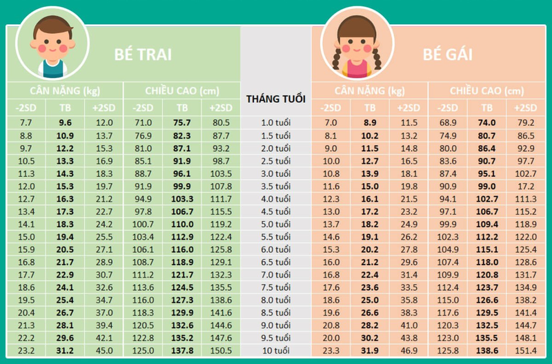 chiều cao cân nặng của trẻ 6 tuổi bao nhiêu là chuẩn 1