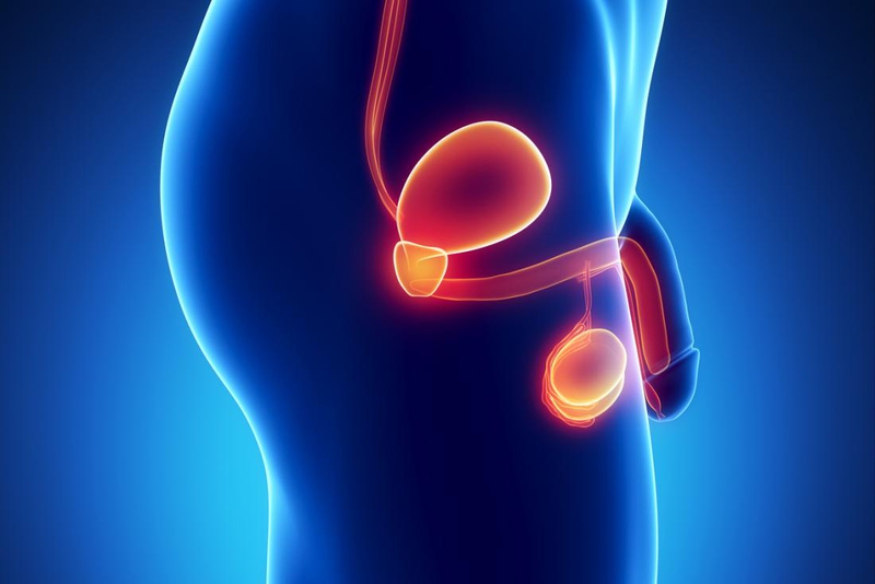 Chọc hút tinh trùng từ tinh hoàn qua da (TESA): Ưu và nhược điểm 2
