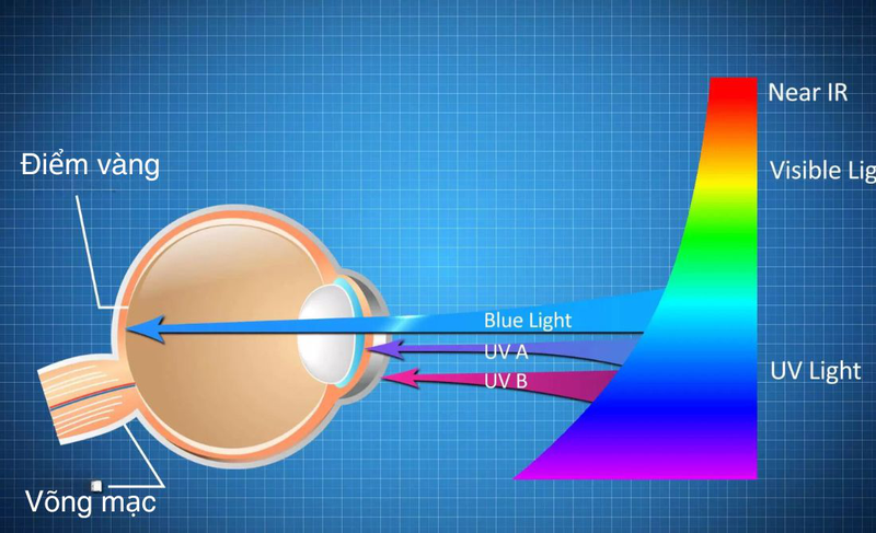 Chống ánh sáng xanh là gì? Cách chống ánh sáng xanh hiệu quả 1
