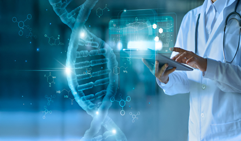 Chromosome là gì? Tầm quan trọng trong nghiên cứu di truyền học 4