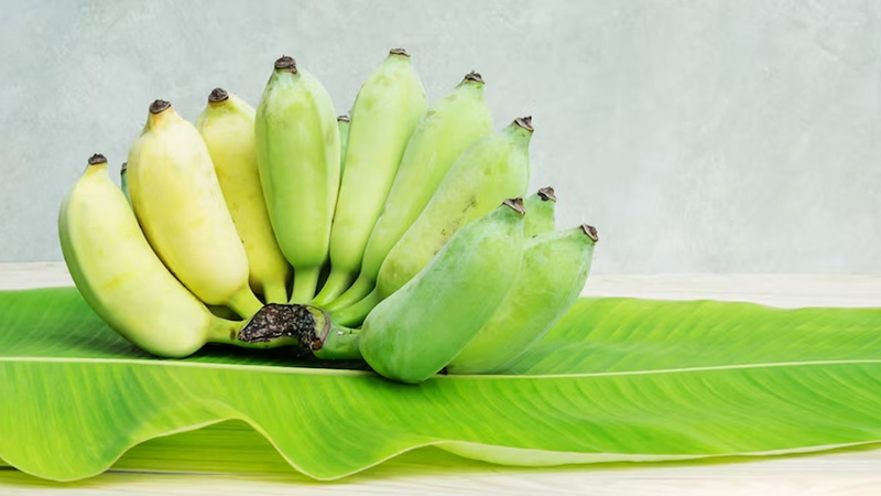 Chuối ương là gì? Những giá trị dinh dưỡng và công dụng ít ai biết 3