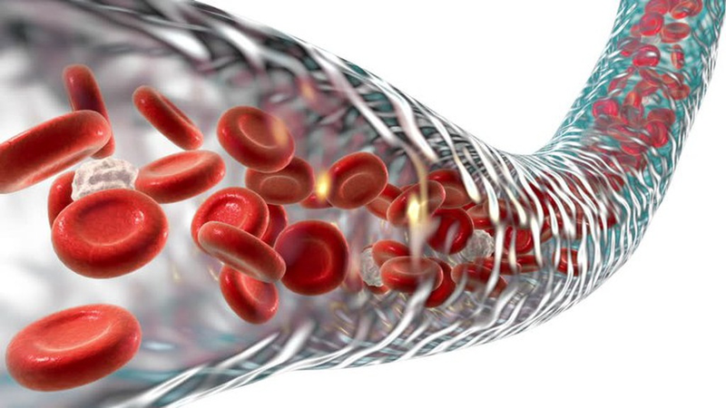 Cơ chế tái tạo máu là gì? Những điều bạn cần biết để nâng cao sức khỏe 2