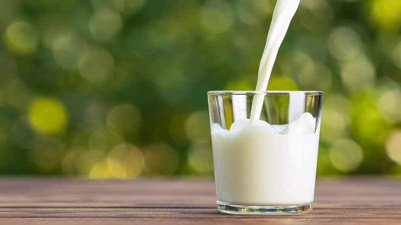 Sữa có làm mất tác dụng của thuốc không? Loại thuốc nào không nên uống với sữa 1
