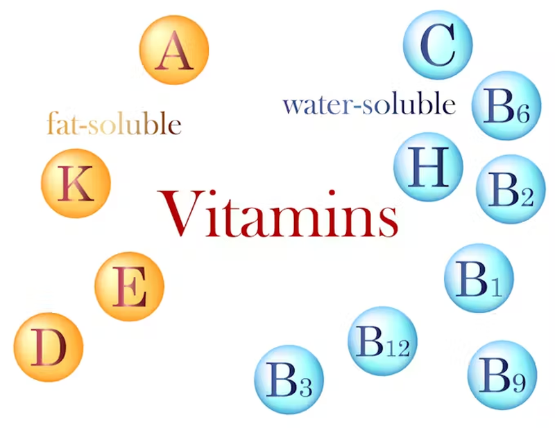 Có thể uống vitamin khi đói được không? Và nó có ảnh hưởng như thế nào? 2