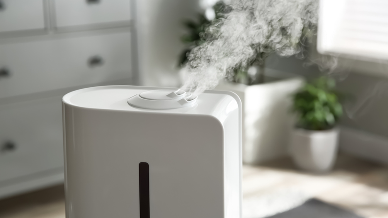 Công dụng máy tạo độ ẩm: Tác động đến sức khỏe và môi trường 2