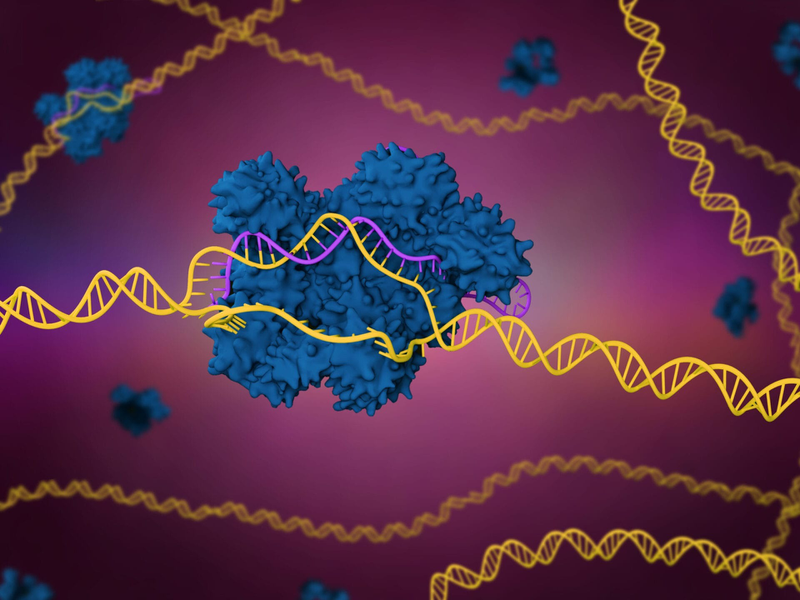 CRISPR-Cas9 hoạt động như thế nào và ứng dụng lâm sàng hiện nay 2