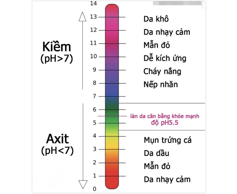 Da dầu có cần dưỡng ẩm hay không? Cách chăm sóc da dầu hiệu quả 2