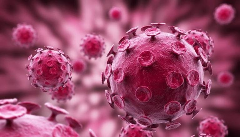 Dấu hiệu nhiễm HPV ở nam giới và các biện pháp phòng ngừa nhiễm HPV cho nam giới 1