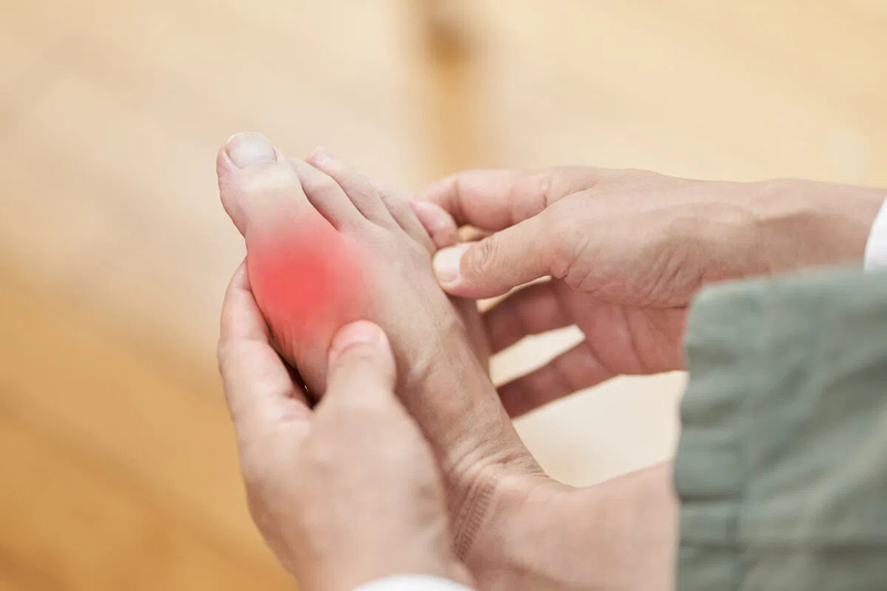 Đậu nho nhe – Công dụng, giá trị dinh dưỡng và cách dùng đúng cách 4