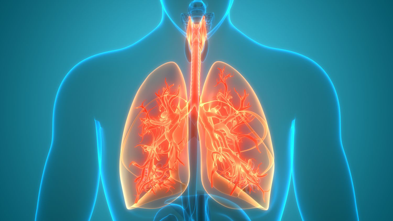 Dị vật trong phổi nguy hiểm như thế nào? Cách xử lý khi gặp phải 1