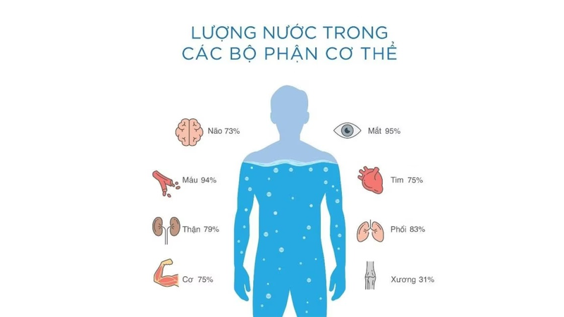 Dịch cơ thể là gì? Trong cơ thể có những loại dịch nào? 1