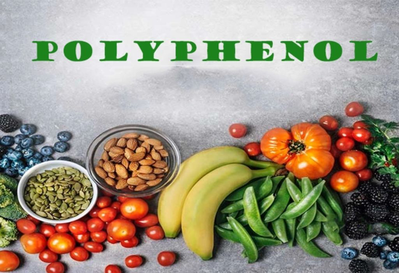 Điểm danh các thực phẩm giàu Polyphenol mà bạn nên biết 1