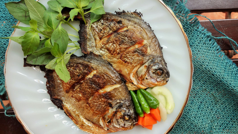 Dinh dưỡng và công dụng mang lại từ cá dìa - Loại cá thuốc bắc bổ dưỡng 3