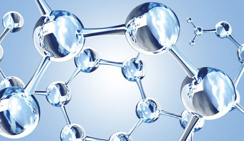 Disaccharide là gì? Sự khác biệt giữa disaccharide, monosaccharide và polysaccharide 2