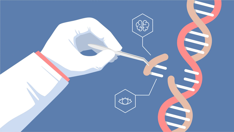 DNA không mã hóa là gì? 2