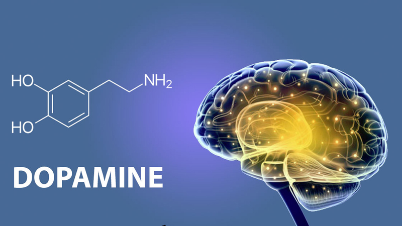 Dopamine detox là gì? Những cách giúp tăng dopamine detox tích cực? 1