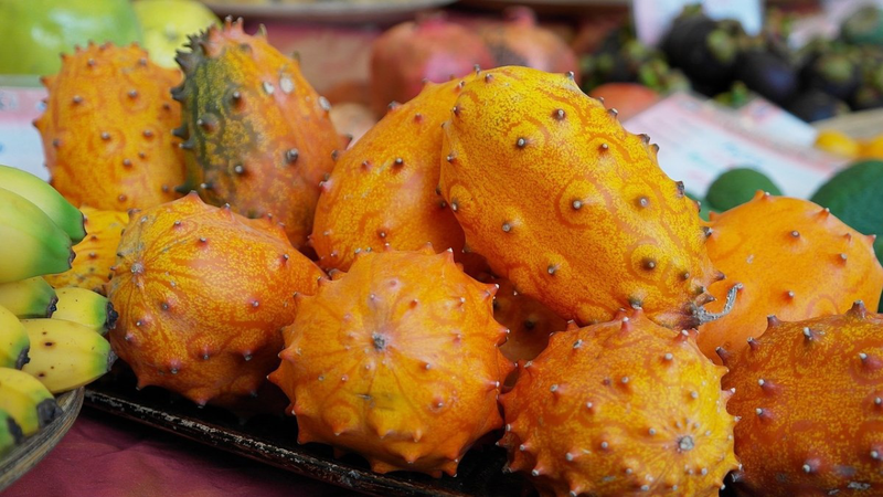 Dưa chuột gai (dưa sừng Kiwano): Giá trị dinh dưỡng và lợi ích sức khỏe 1