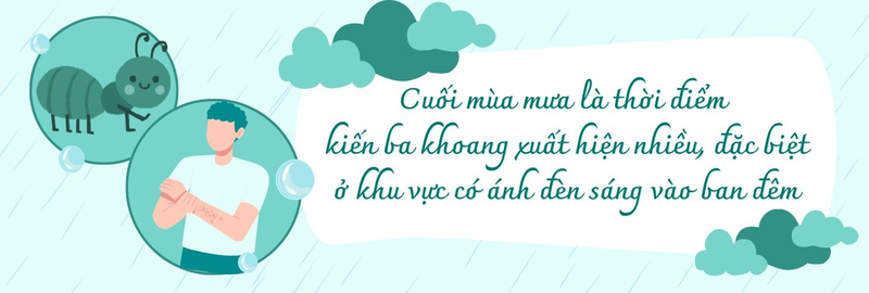 dung-de-da-keu-cuu-mua-mua-5-benh-ngoai-da-can-tranh-ngay-10.jpg