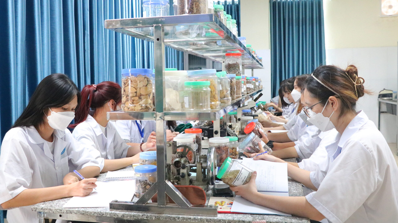 Dược sĩ lâm sàng là gì? Vai trò của dược sĩ lâm sàng trong y tế