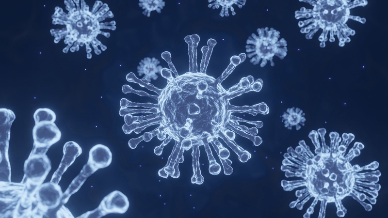 Enterovirus là gì? Triệu chứng và cách phòng ngừa hiệu quả 1