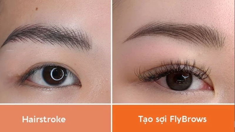 FlyBrows và Hairstroke: Có gì khác nhau? Lưu ý gì khi thực hiện? 2