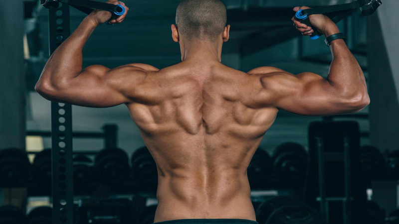 Front Shoulder Raises là gì? Kỹ thuật tập luyện đúng cách 2